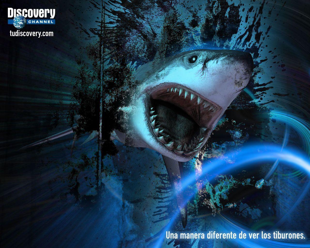 Wallpaper For > Discovery Channel Wallpaper