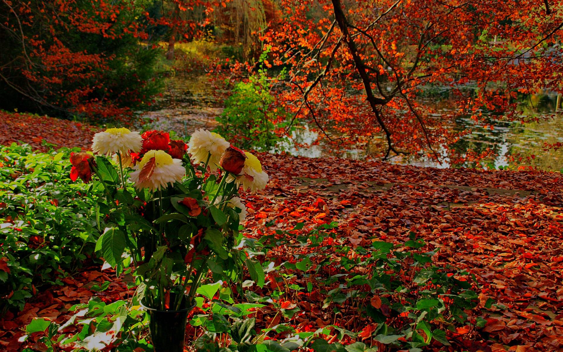 Fall Flowers Wallpapers - Wallpaper Cave