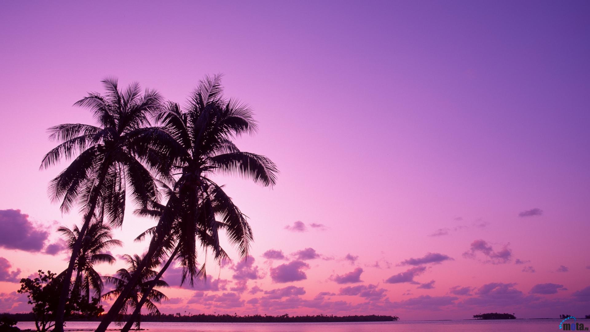 Tropical Sunset Desktop HD Wallpaper