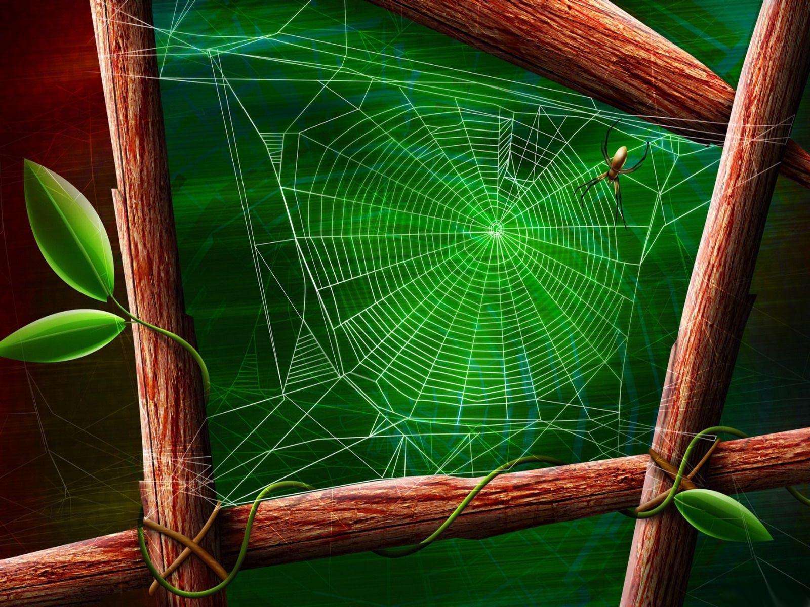 Desktop Wallpaper · Gallery · 3D Art · Spider Web. Free