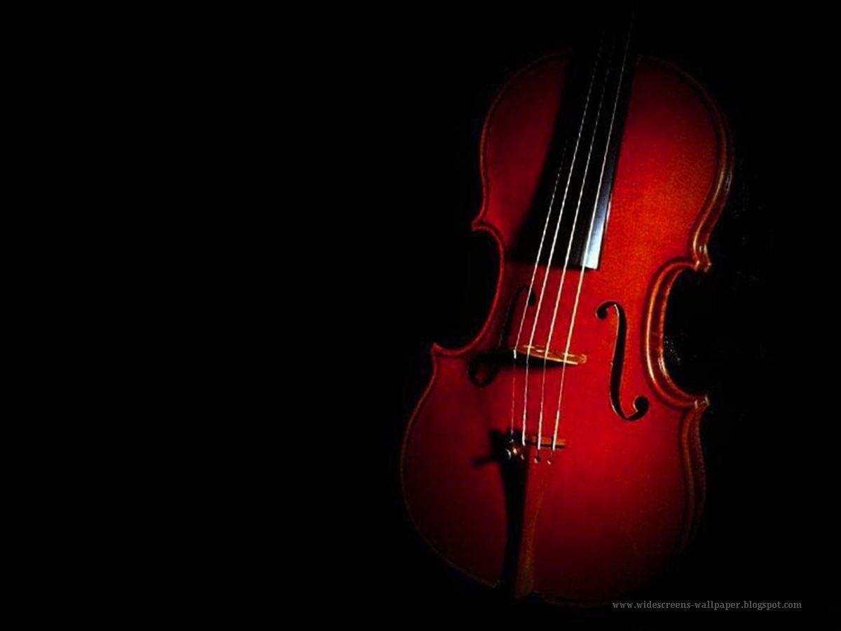 best music violin wallpaper red wallpaper HD Wallpaper & Backgr