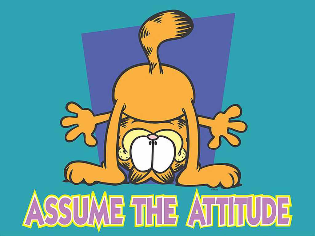 Garfield the Attitude: Cartoons Wallpaper