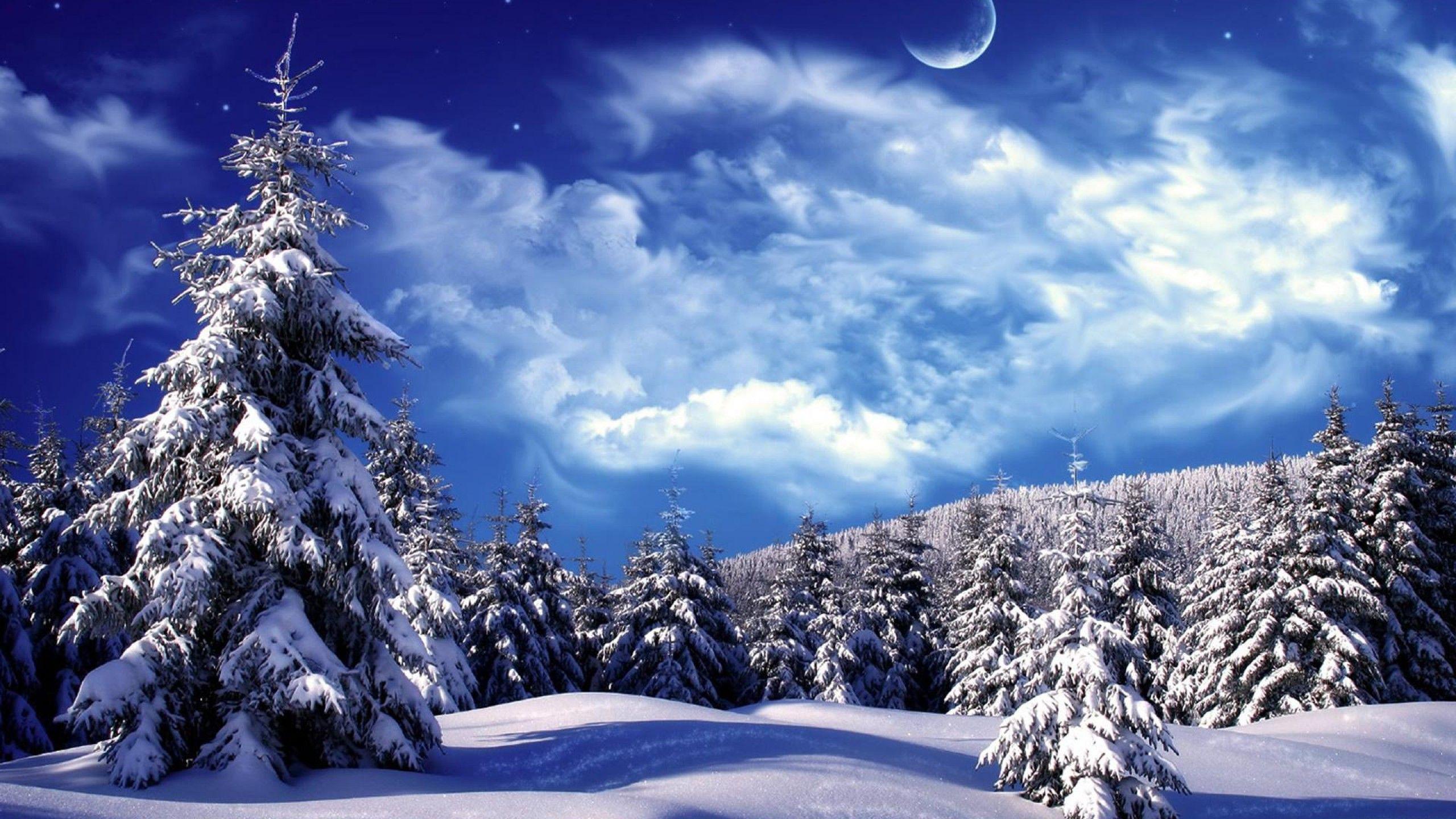 Winter Wallpaper Backgrounds - Wallpaper Cave