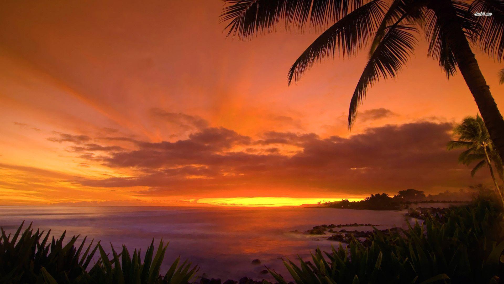 Hawaiian Beach Sunset Wallpaper Image & Picture