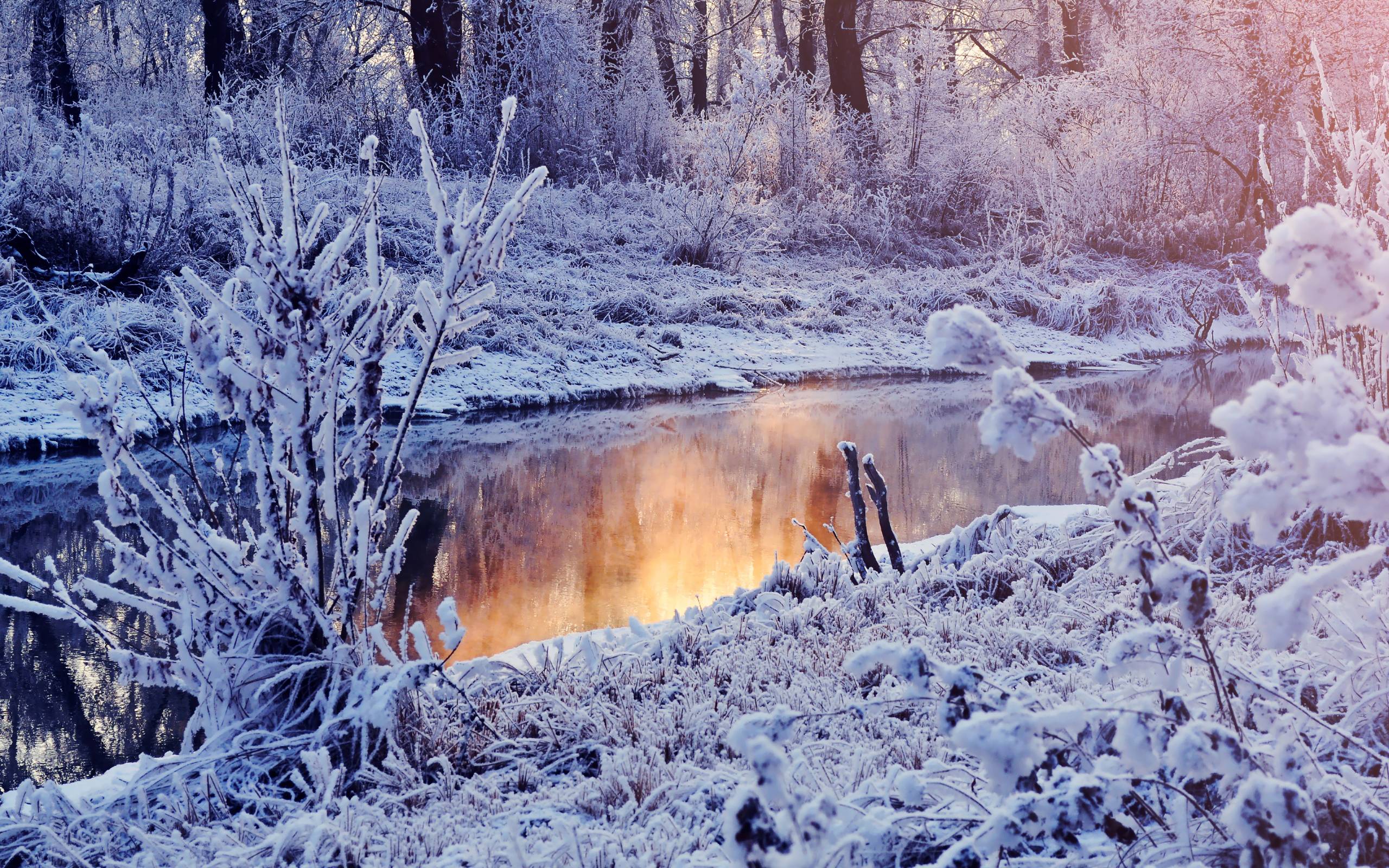 Winter Computer Wallpaper, Desktop Background 2560x1600 Id: 221668