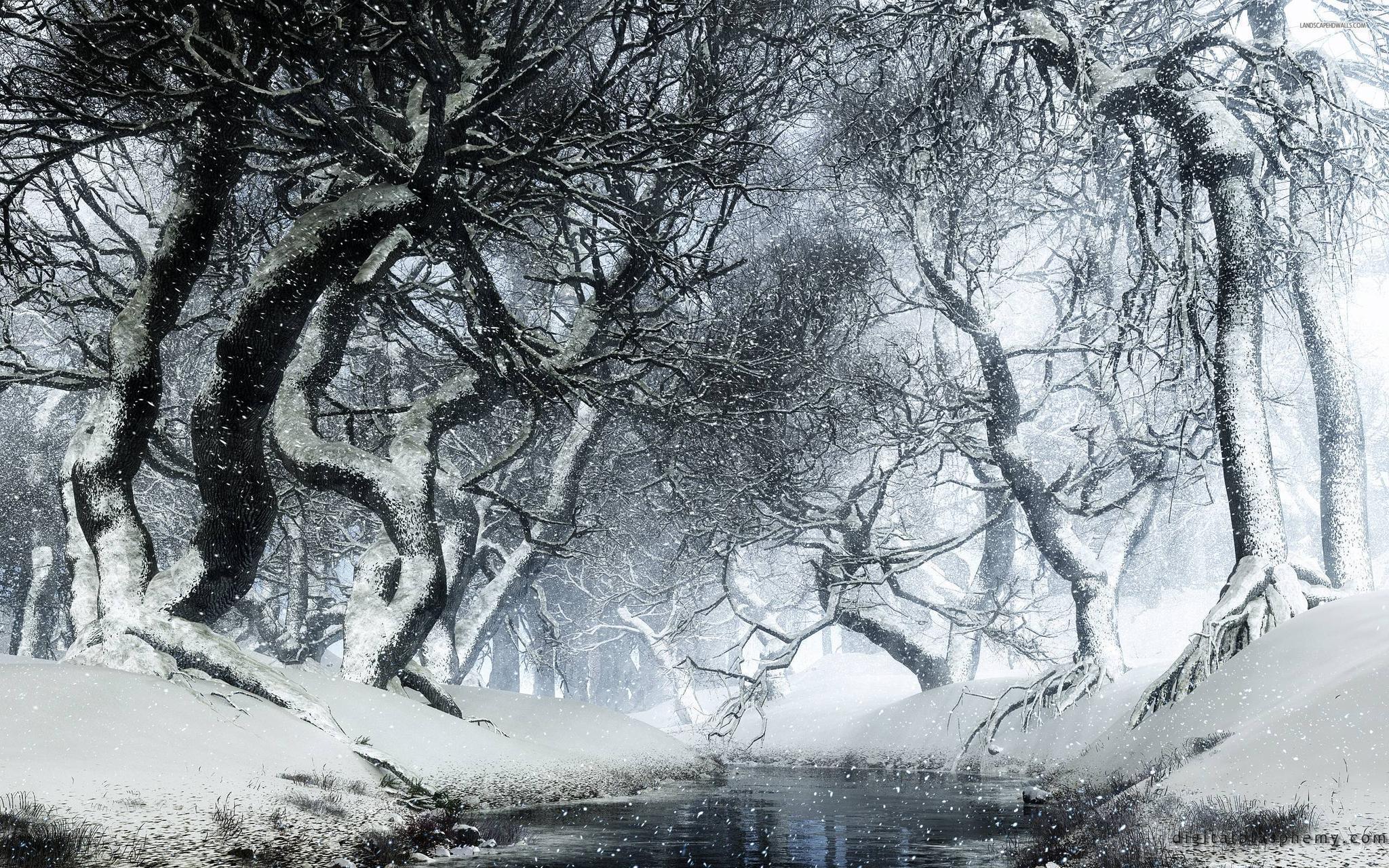 Snowy Forest Desktop Background Wallpaper