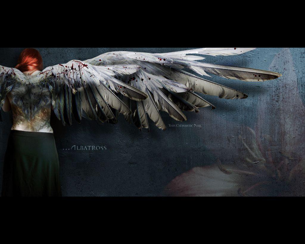 Fallen Angel Wings Image Wallpaper and Picture Items. Page