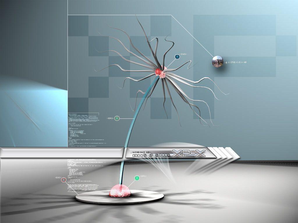 Desktop background // Computers // Windows XP // Fantastic Flower