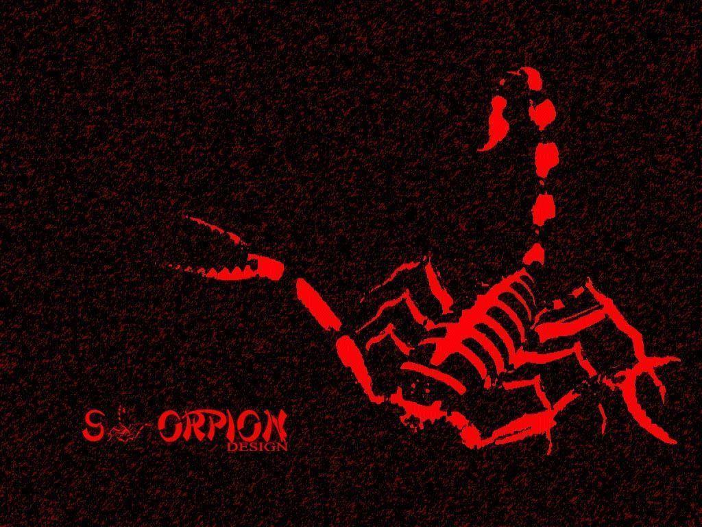 Animals For > Red Scorpion Wallpaper