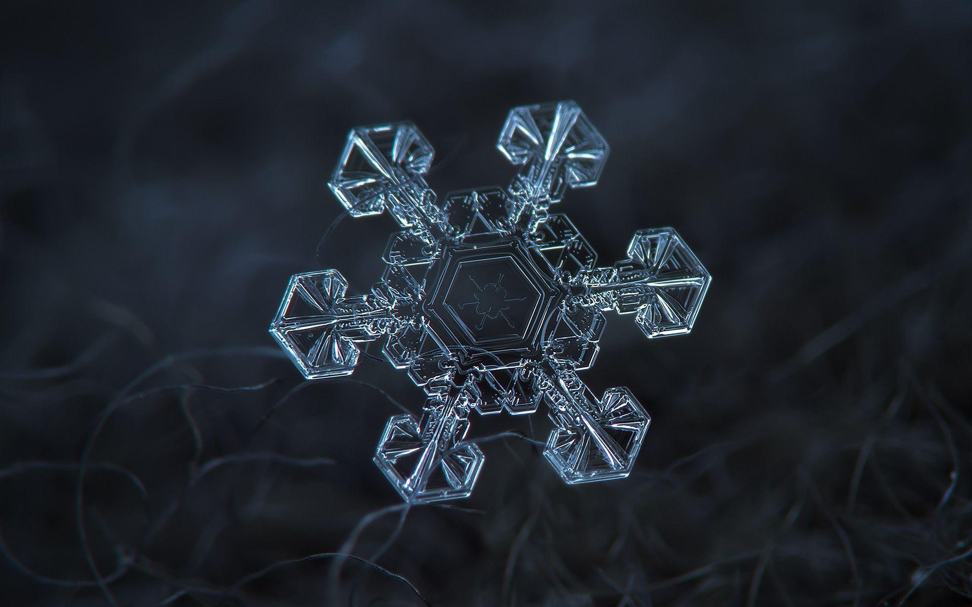 Ice crown (widescreen snowflake wallpaper)