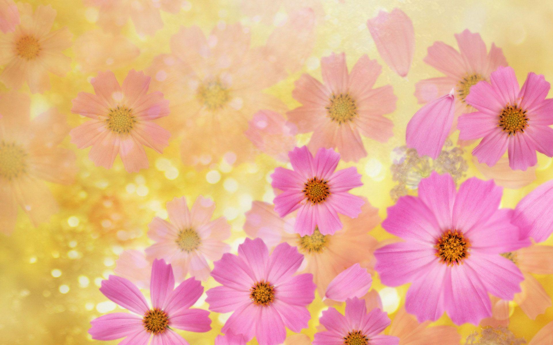 image For > Springtime Flowers Background
