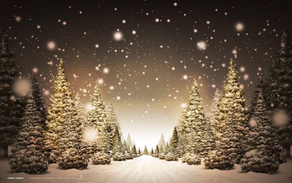 Cool Winter Background Wallpaper and Background