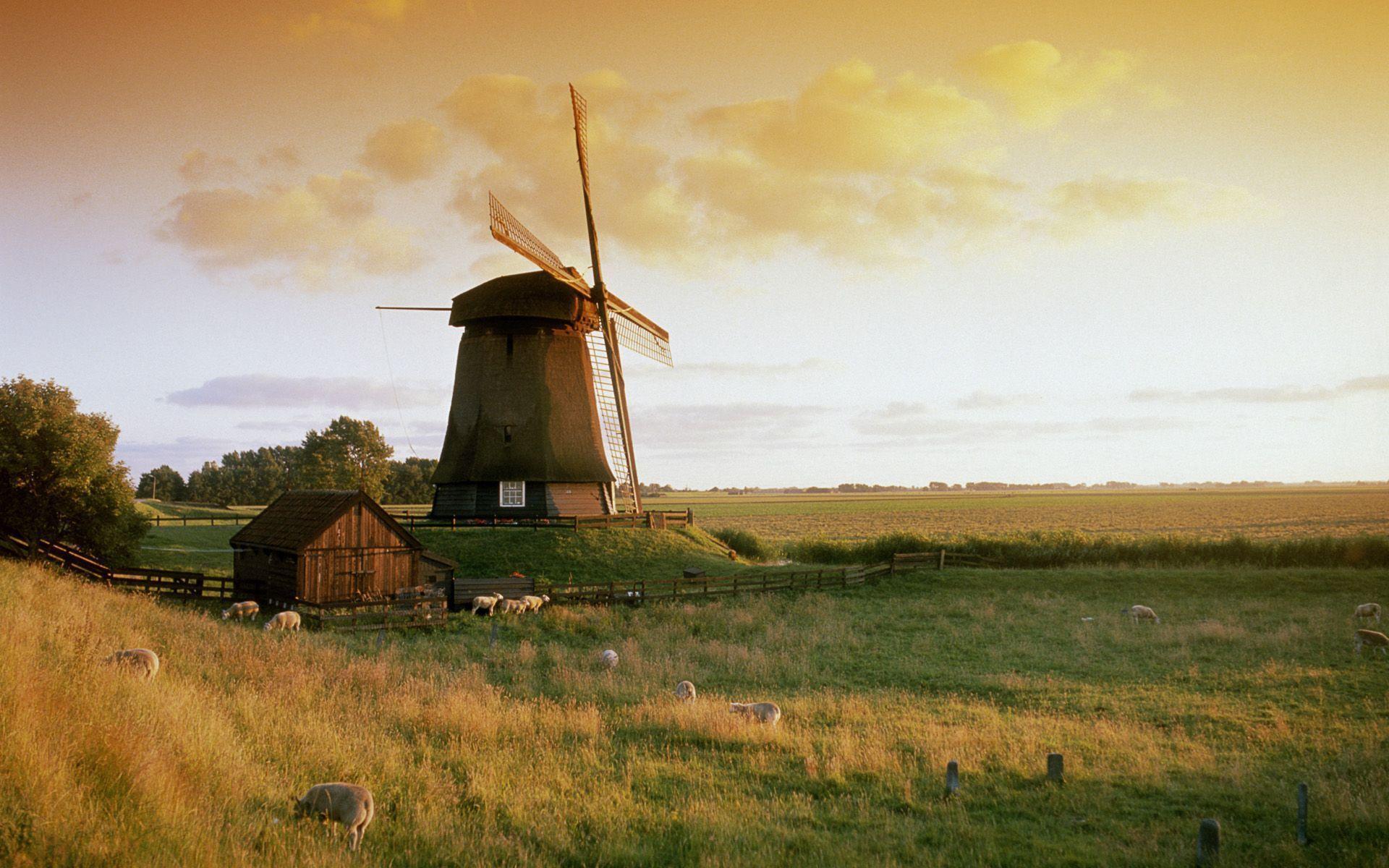 Wallpaper For > Dutch Windmill Wallpaper