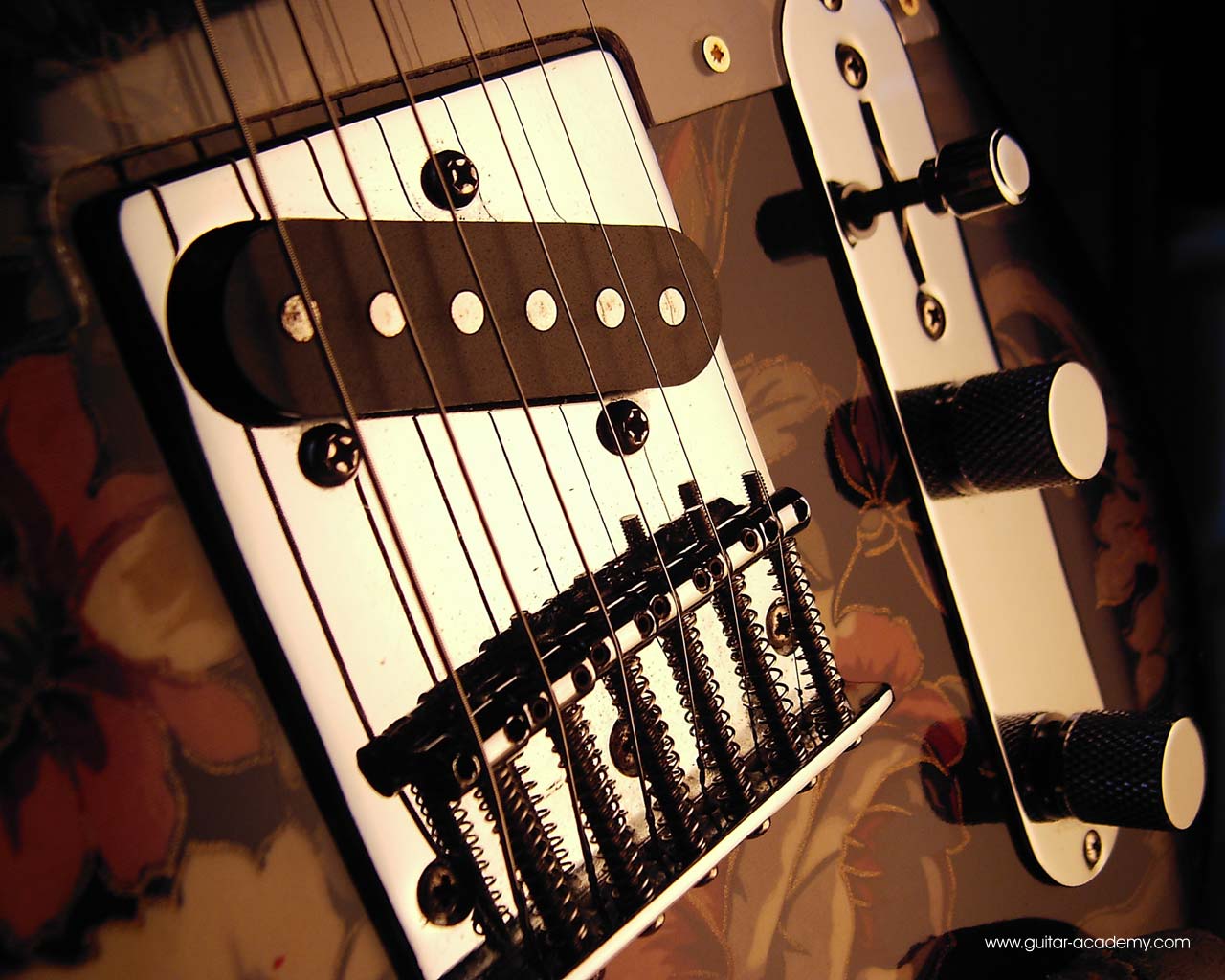 Guitar Wallpaper Fender Telecaster Floral Style Electric Guitar