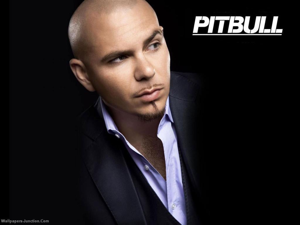 Image result for pitbull singer