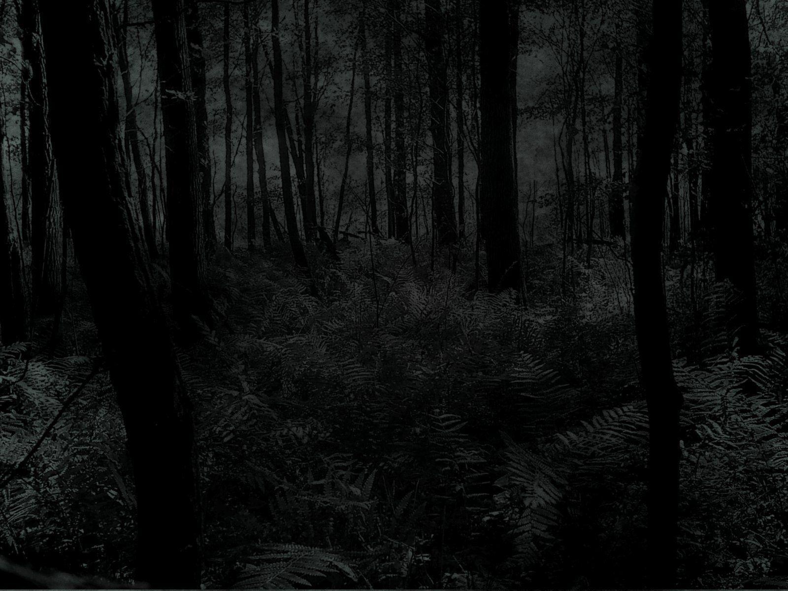 Wallpaper For > Dark Forest Background With Moon