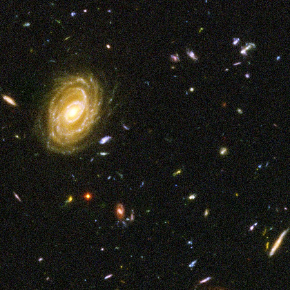 HubbleSite Album: Spiral Galaxy in the Hubble Ultra Deep