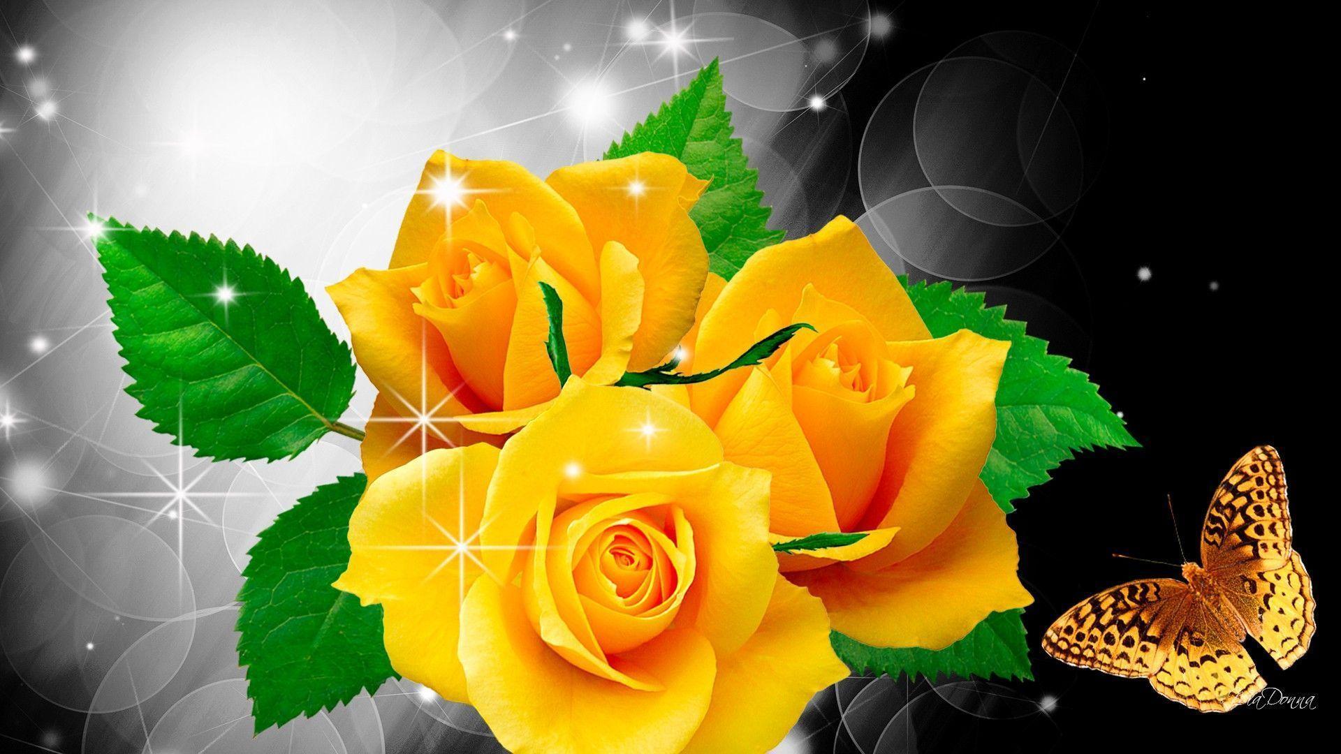 Flowers For > Yellow Roses Wallpaper HD