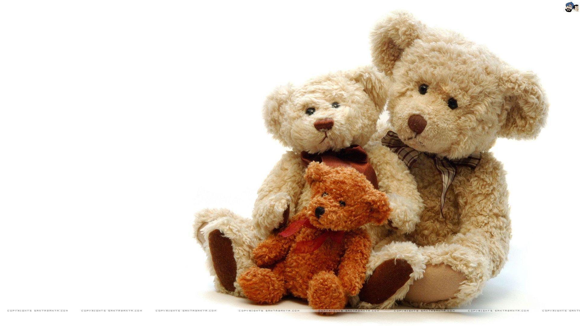 Cute Teddy Bear couple Image, Free Widescreen HD wallpaper