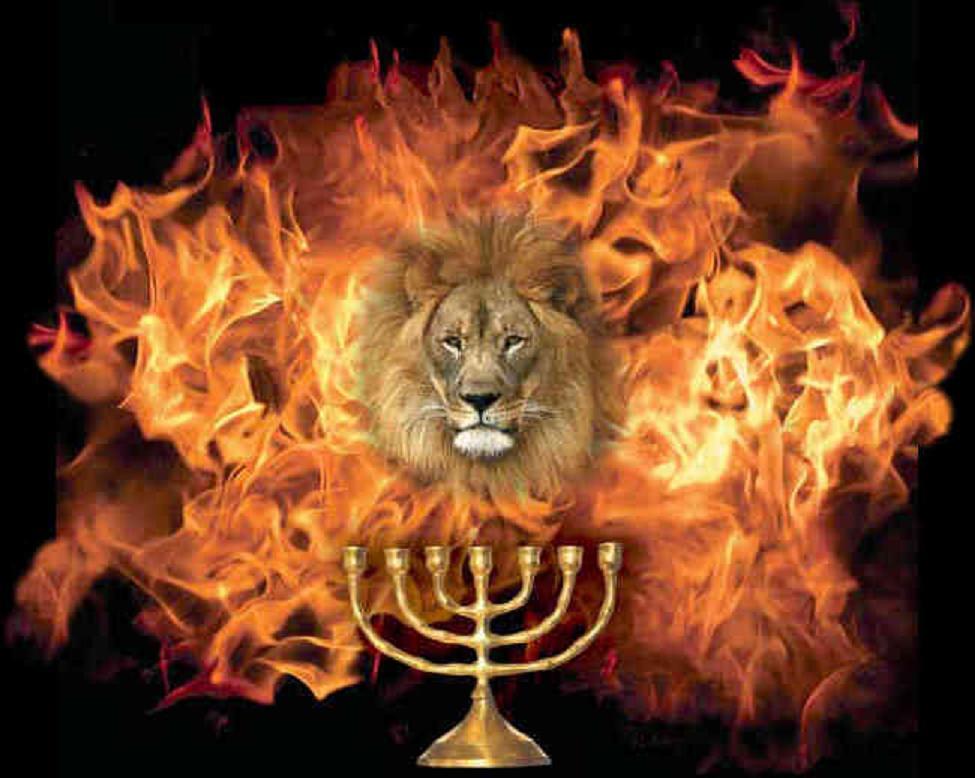 Animals For > Lion Of Judah Jesus Wallpaper