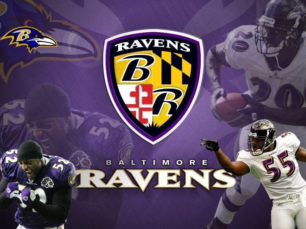 Baltimore Ravens Exclusive HD Wallpaper #