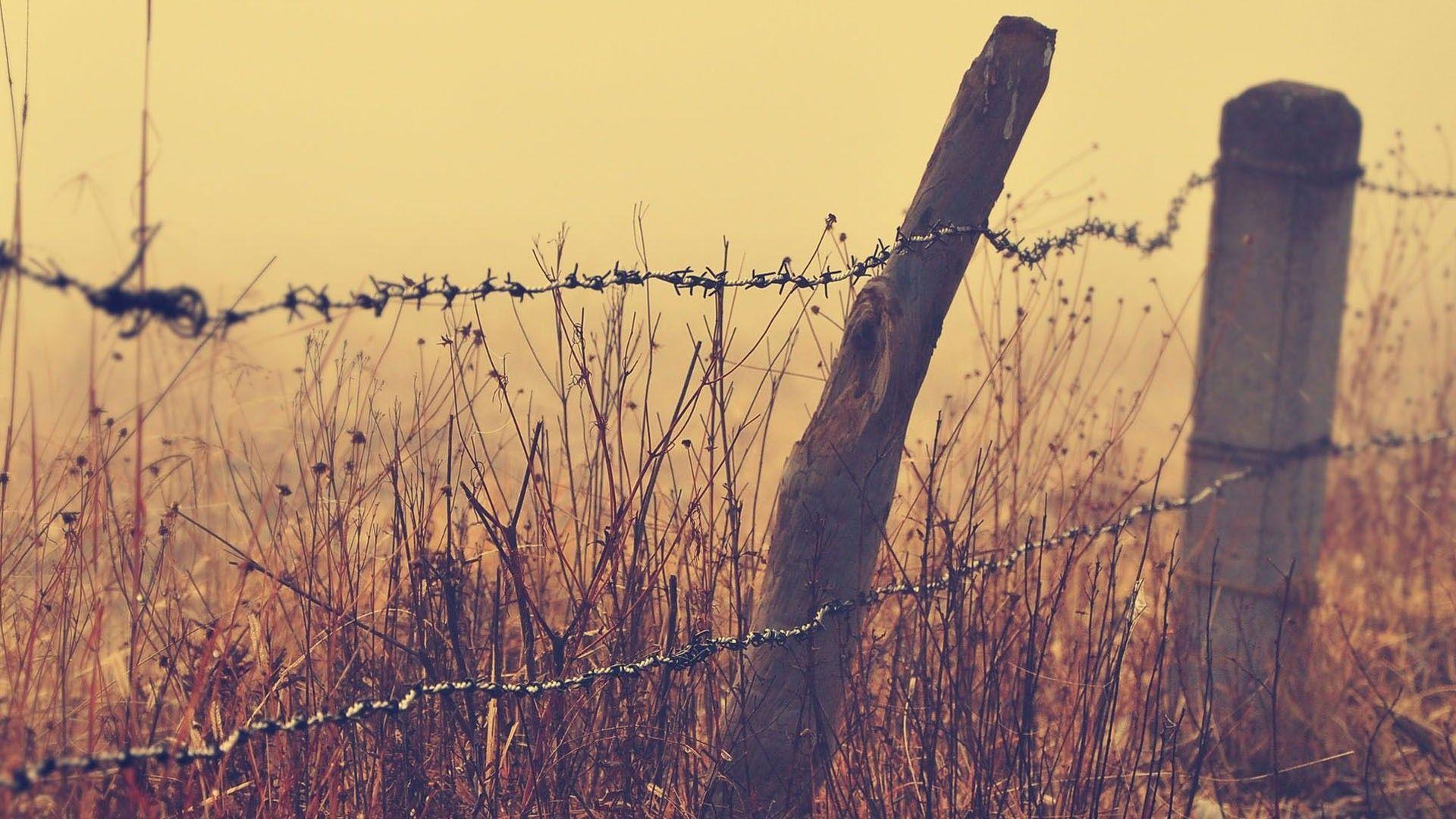 Home Ideas For > Barbed Wire Fence Wallpaper