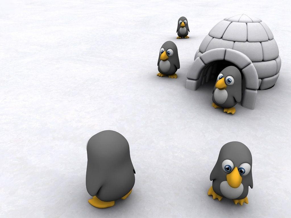 Funny Funny Cartoon Penguins Computer Background HD Free Wallpaper