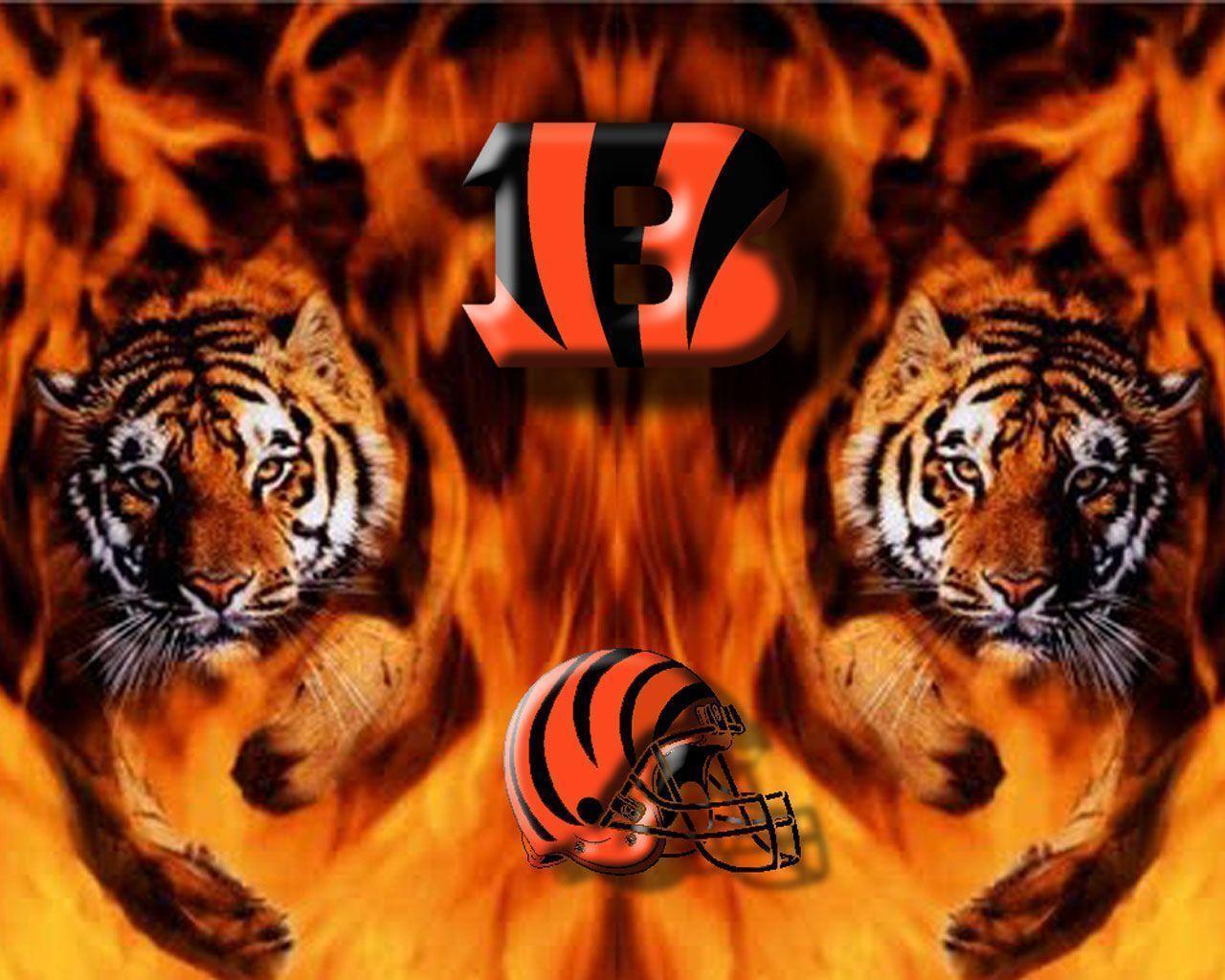 Cincinnati Bengals Two Tigers Wallpaper Nfl 1280x1024PX Bengals