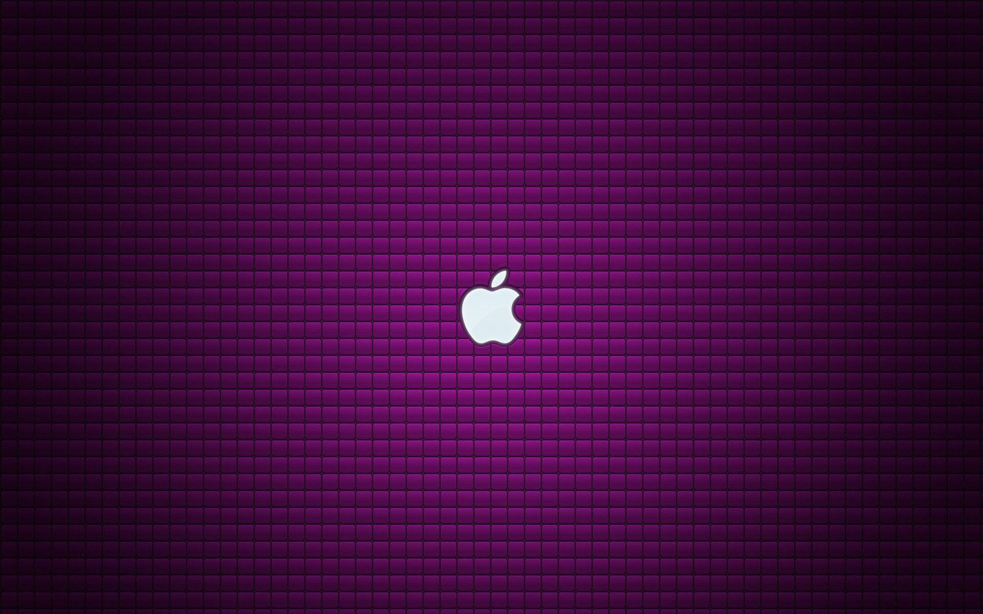 Download Purple HD Background Wallpaper 148 HD Wallpaper Full Size
