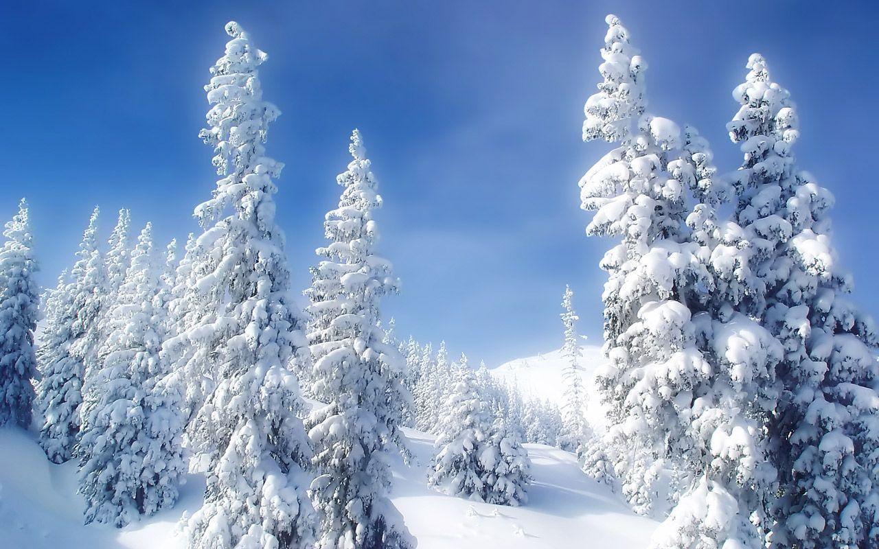 Free Snow Scene Wallpaper For Desktop