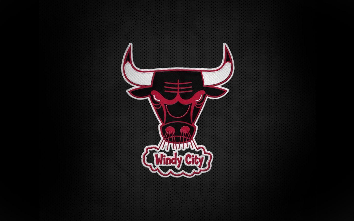 Chicago Bulls Logo 30 Background. Wallruru