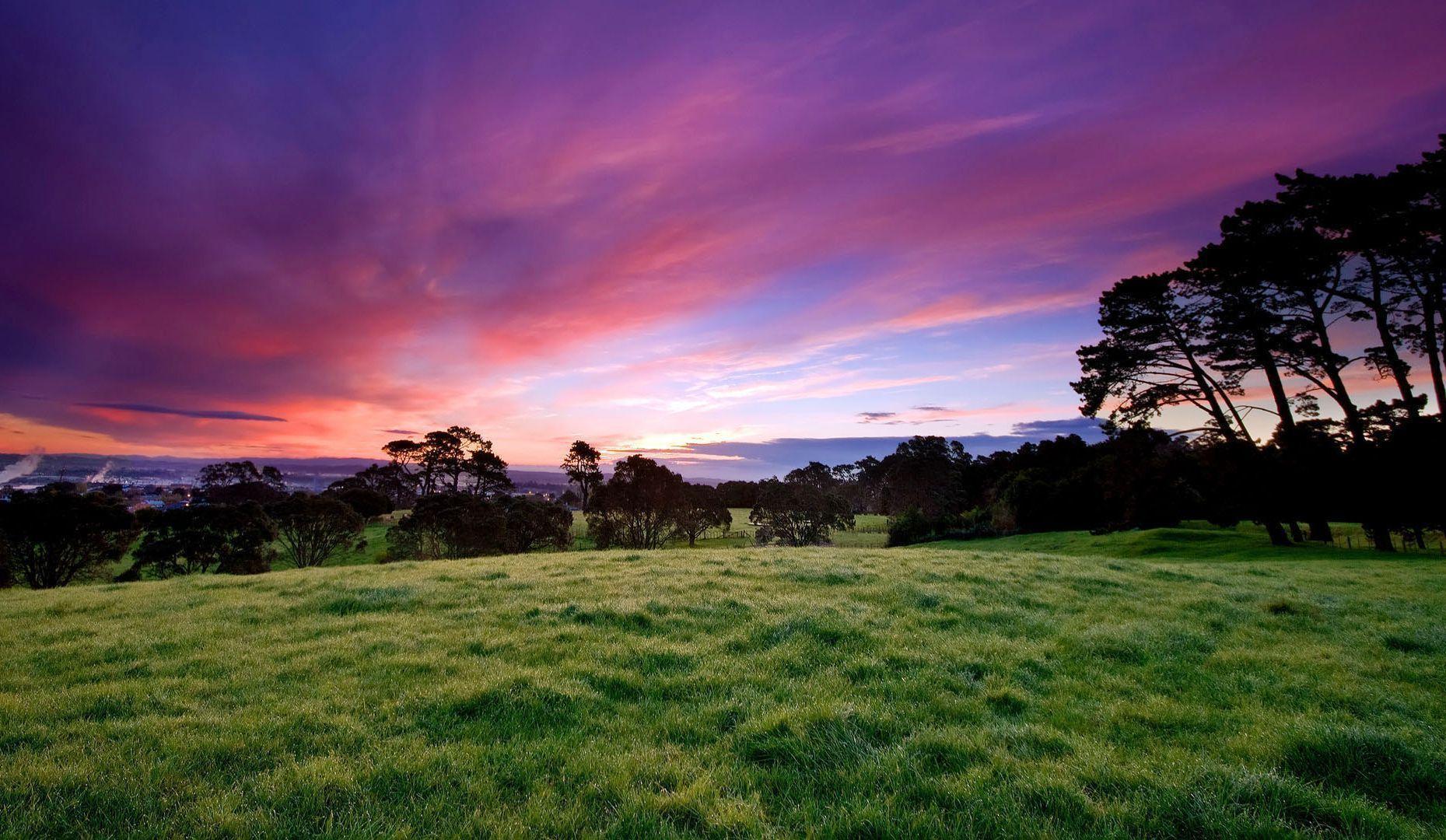 Green Field Lanscape with Sunset Beautiful Sky Wallpaper and Stock