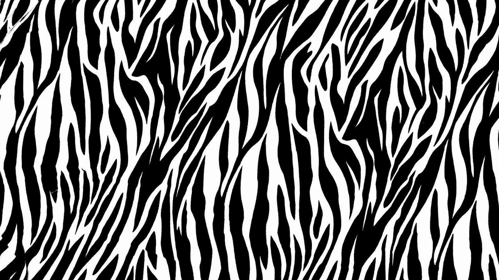 zebra print desktop wallpaper software