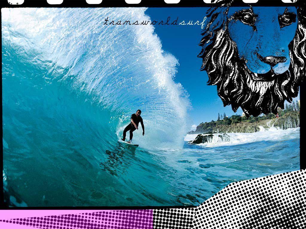 Free Surfing Transworld Wallpaper, Free Surfing Transworld HD
