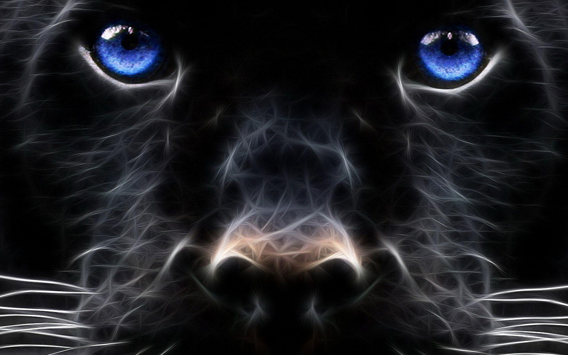 Animals For > Black Jaguar Wallpaper HD
