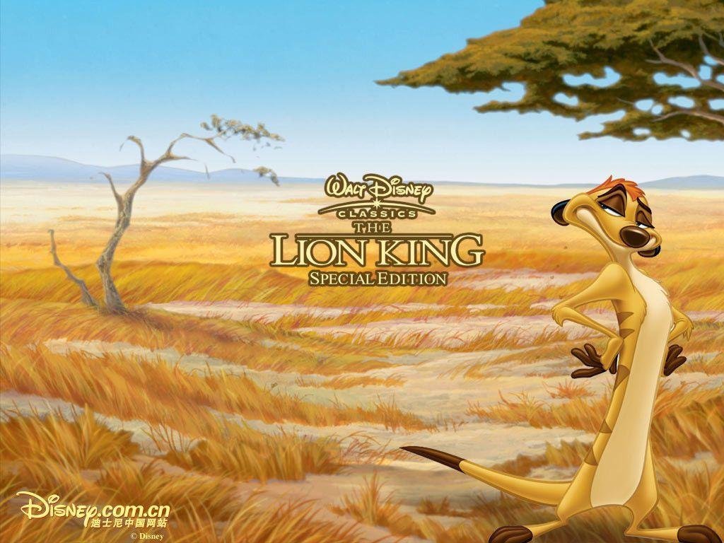 Timon Lion King Wallpaper