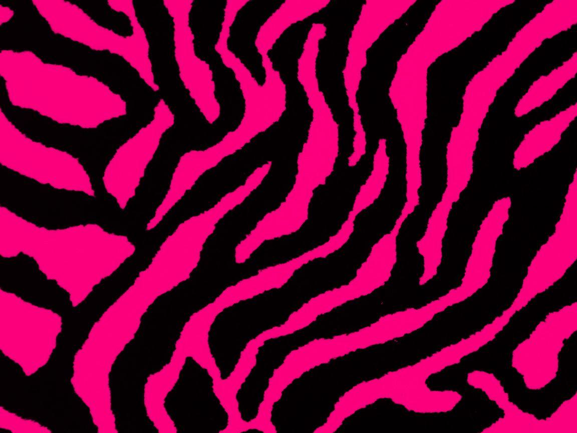 Wallpaper For > Hot Pink And Black Zebra Wallpaper