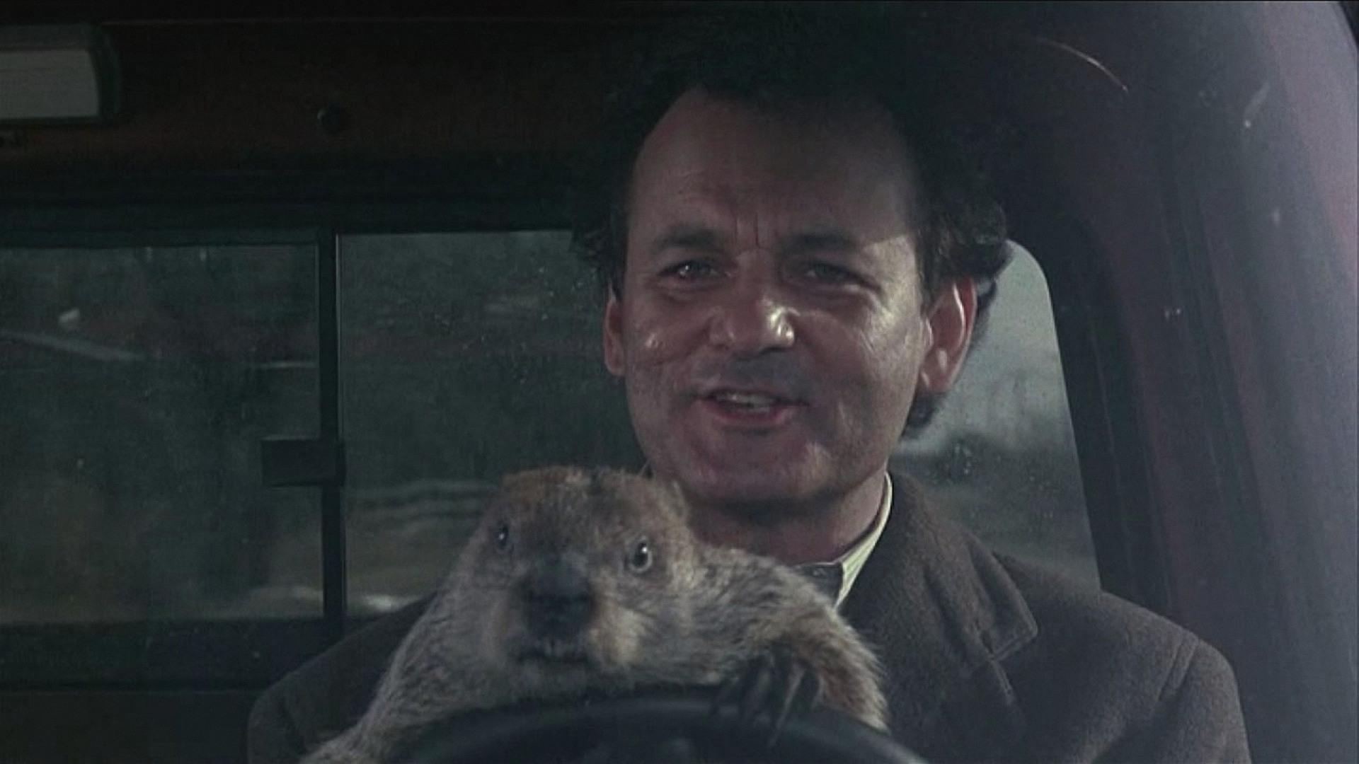 Groundhog Day HD Wallpaper, Image, Picture