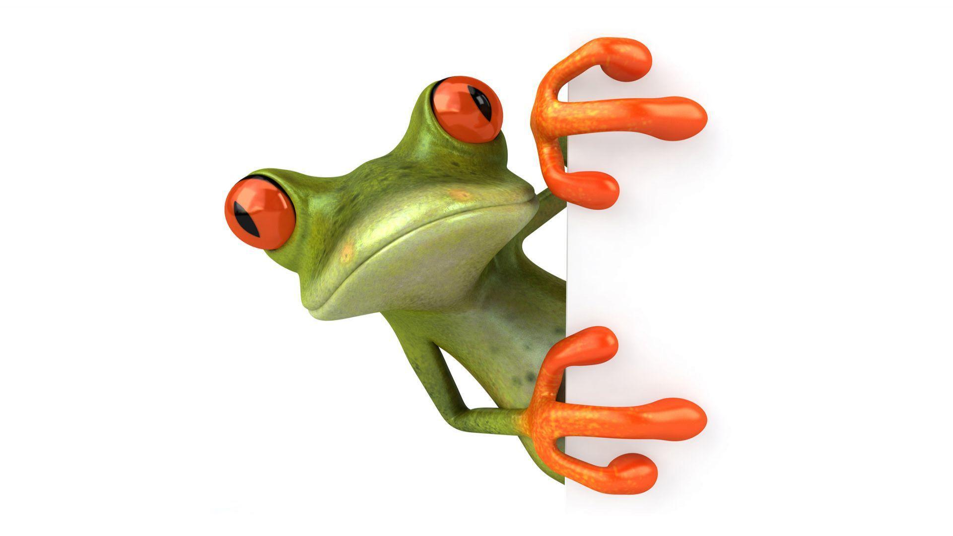Free Frog HD Wallpaper Archives