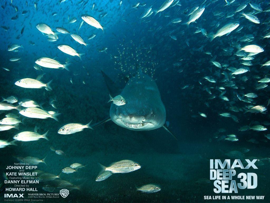 Download wallpaper Secrets of the Underwater World 3D, Deep Sea