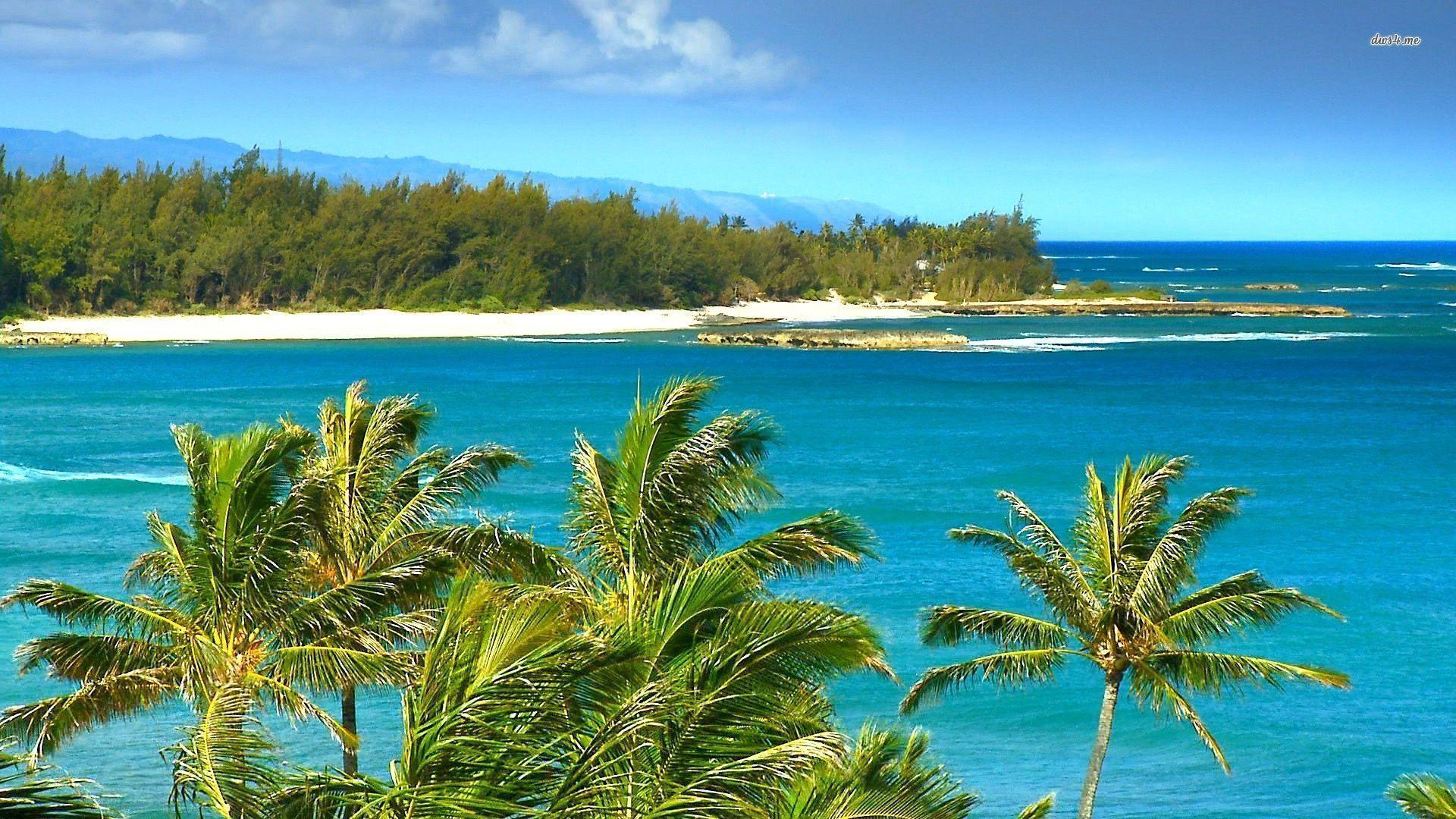 Windy Beach In Hawaii Free Download Wallpaper. Wallpaper