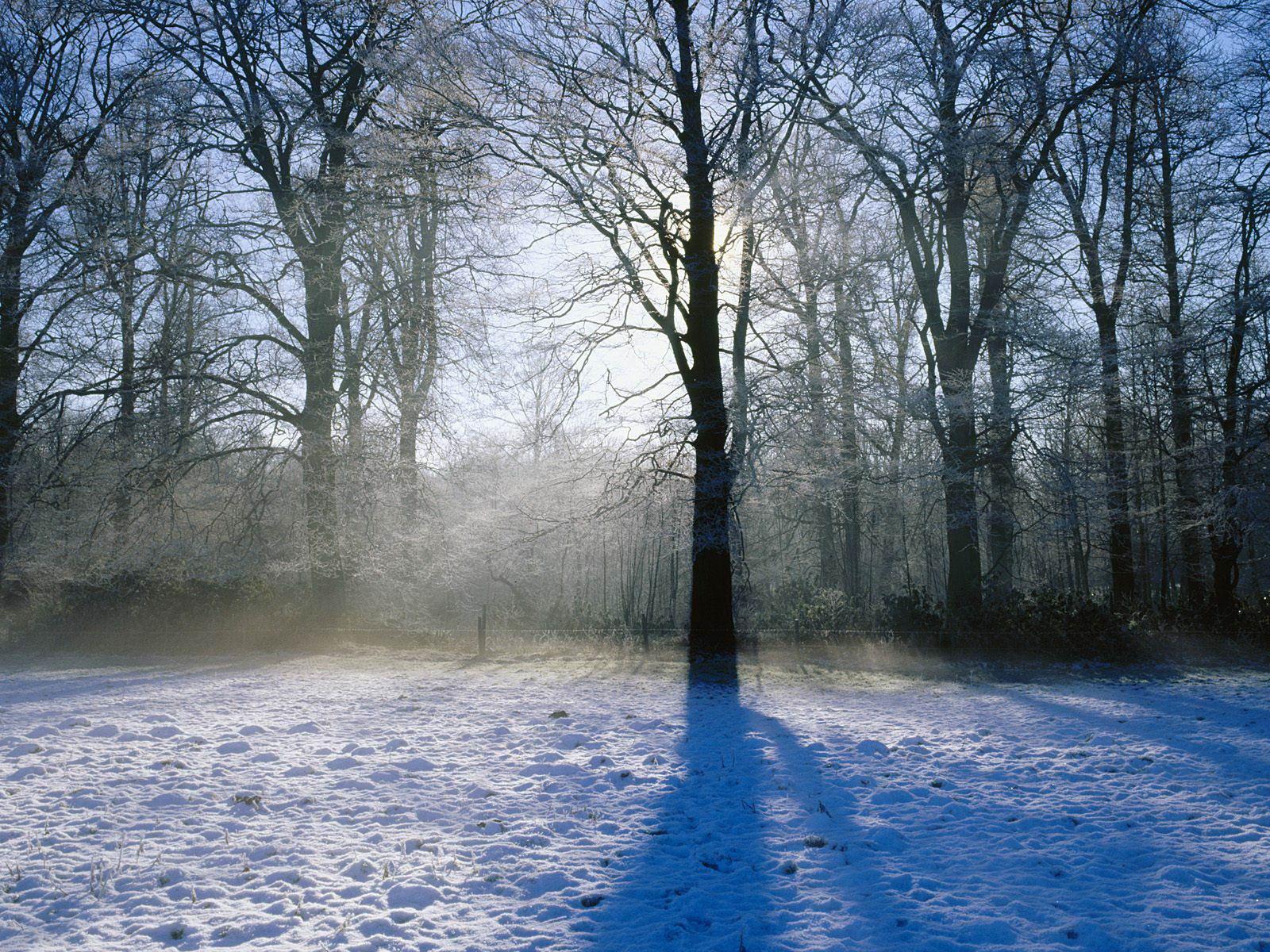 Winter morning Norfolk England free desktop background