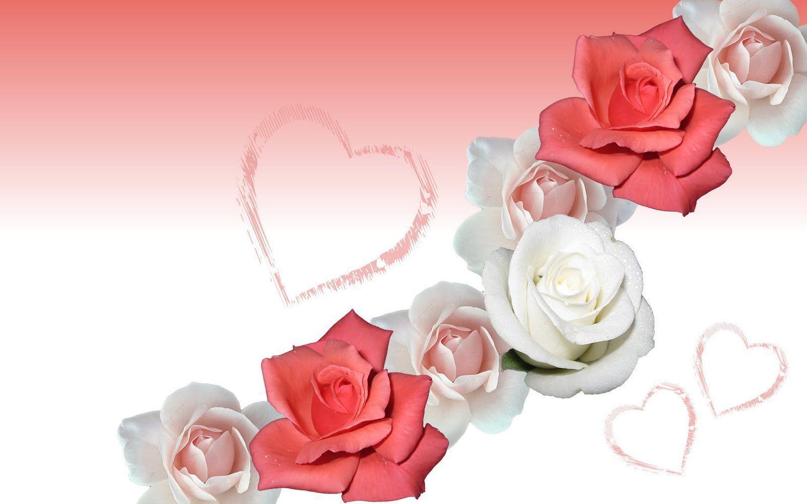Flowers For > Wallpaper Flower White Rose Love