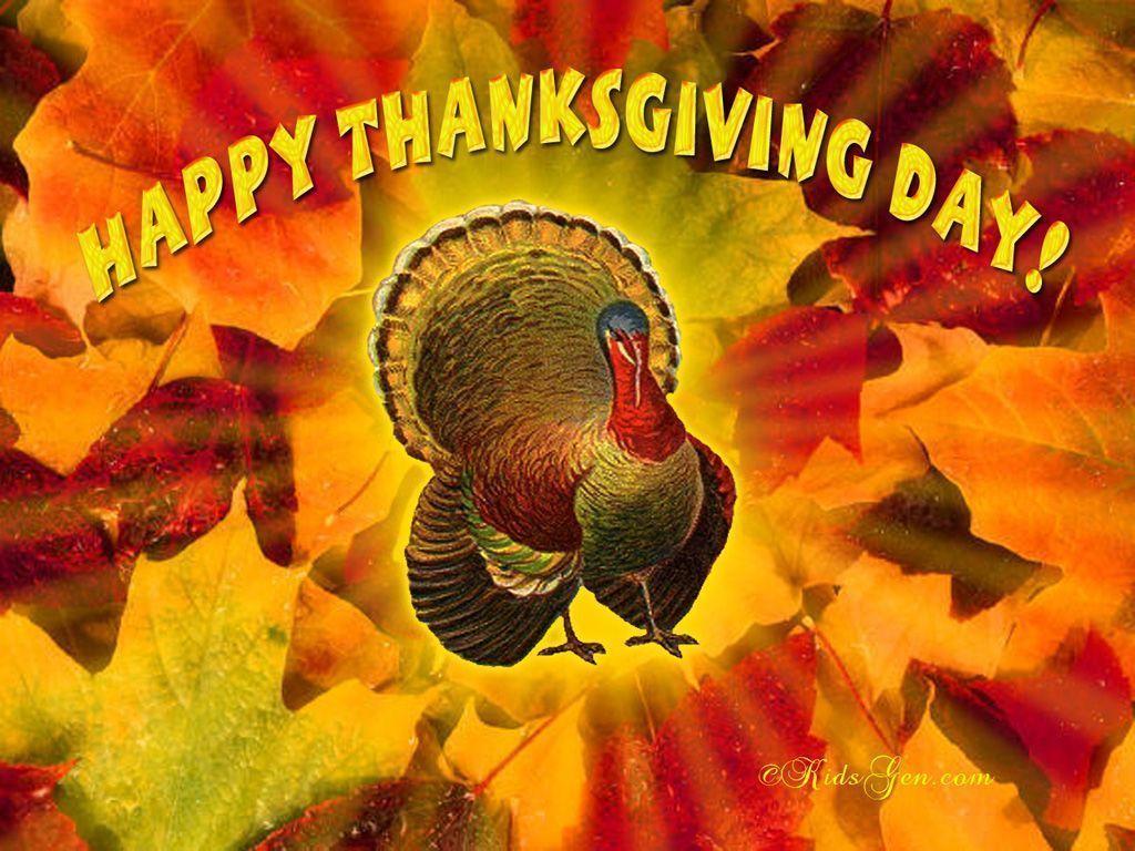 Peacock Happy Thanksgiving Day Wallpaper Wallpaper