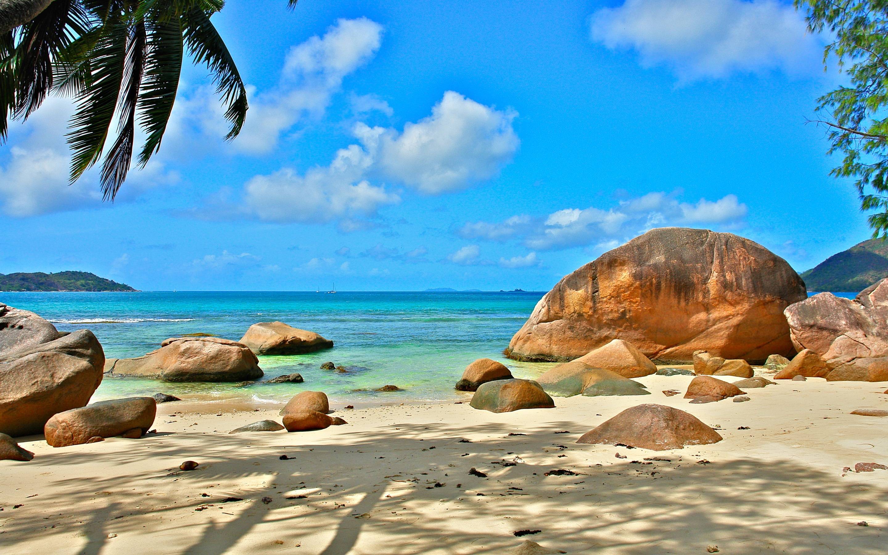 Beach seychelles Wallpaper