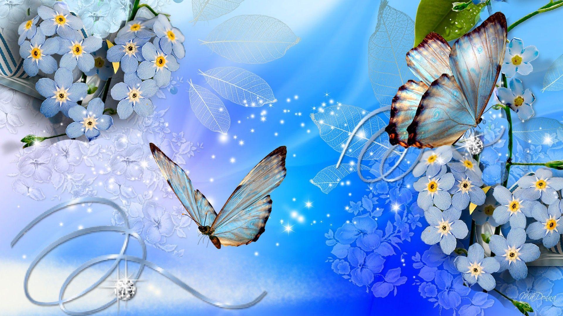 Wallpaper For > Blue Butterfly Abstract Background