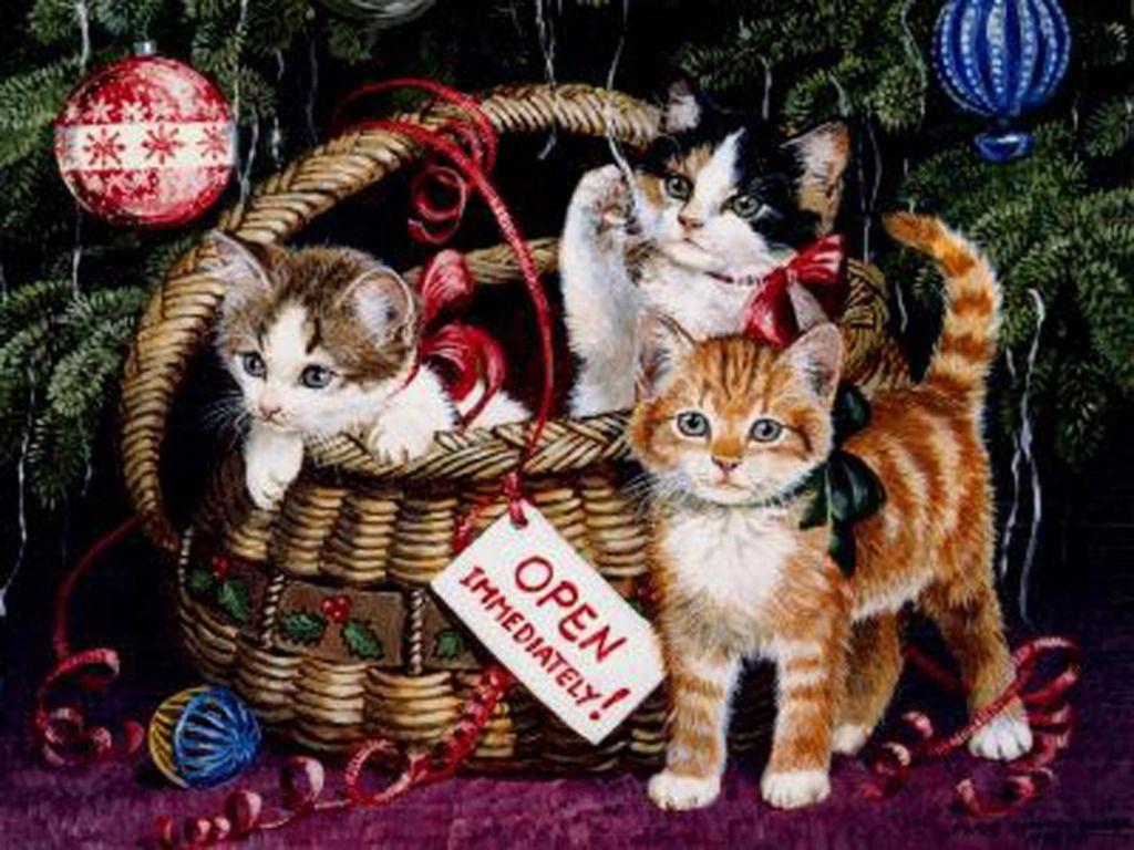 Kittens Wallpaper Christmas Animal Live