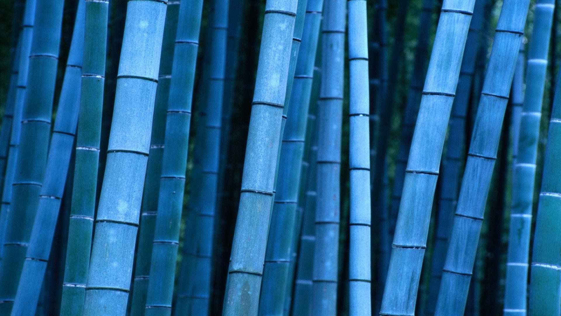 Download Blue Bamboo Sticks Wallpaper. Full HD Wallpaper