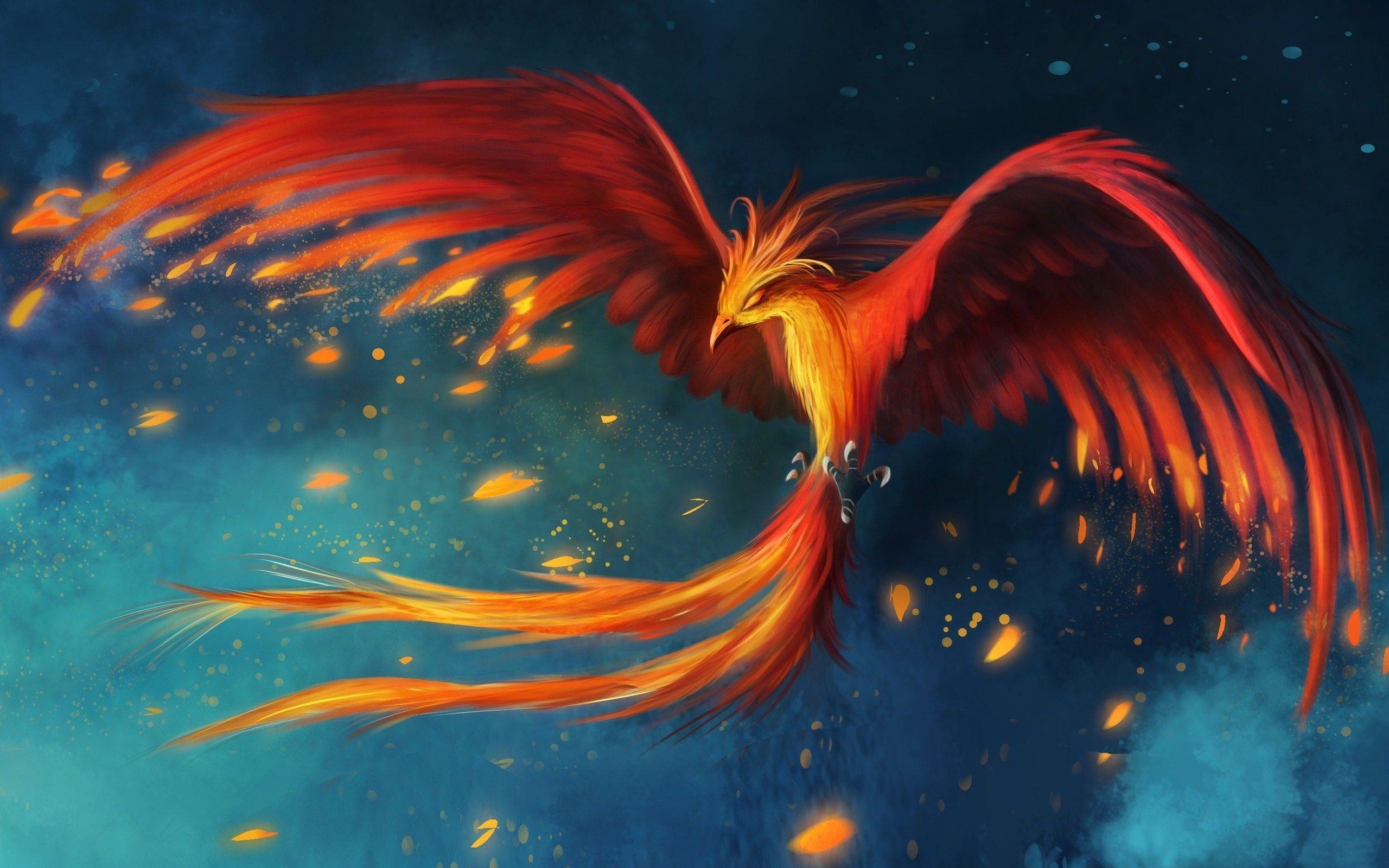 Bird Phoenix Flight Art Drawing Wallpaper