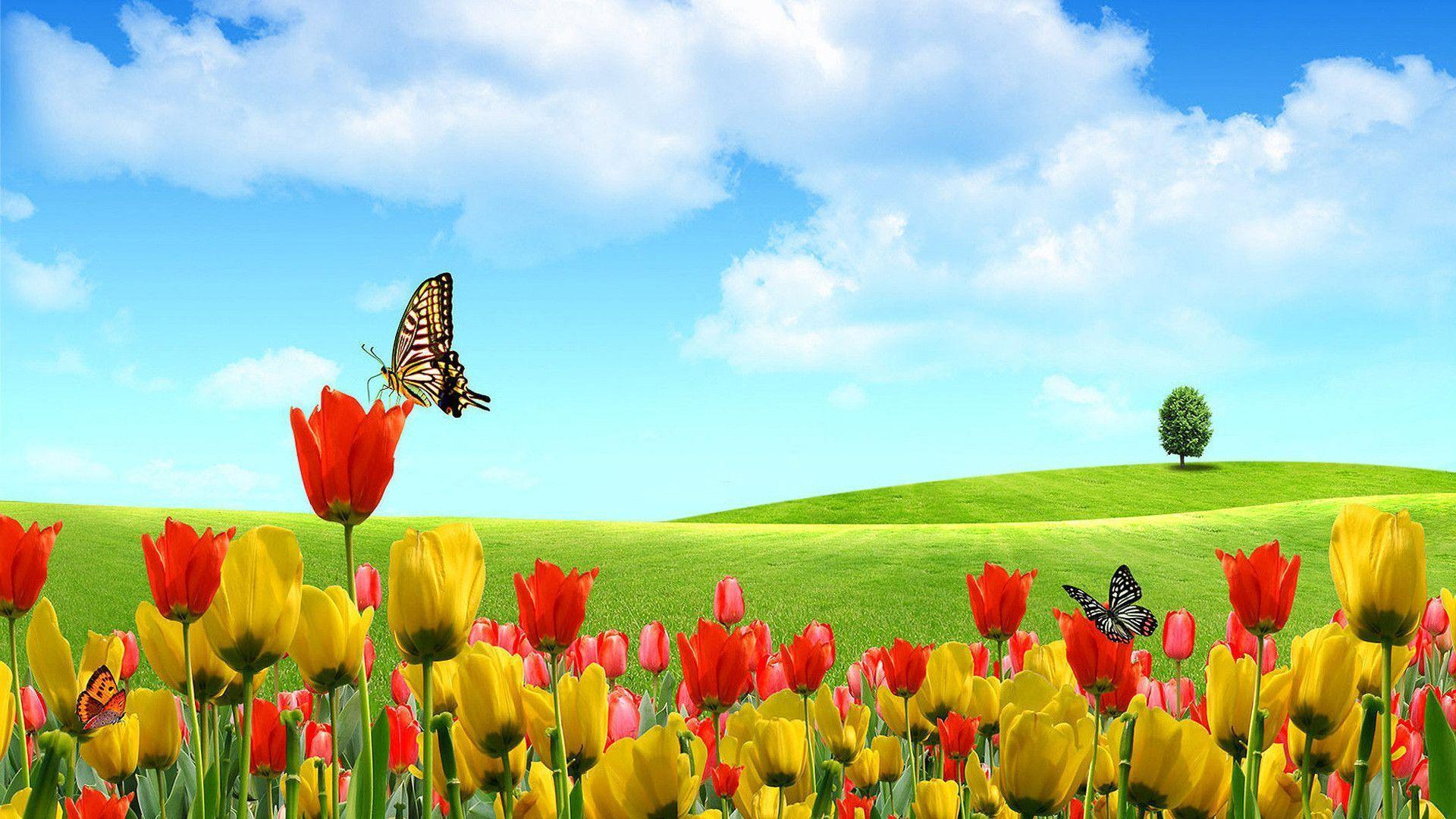 25 1920x1080 spring wallpaper You Can Download It At No